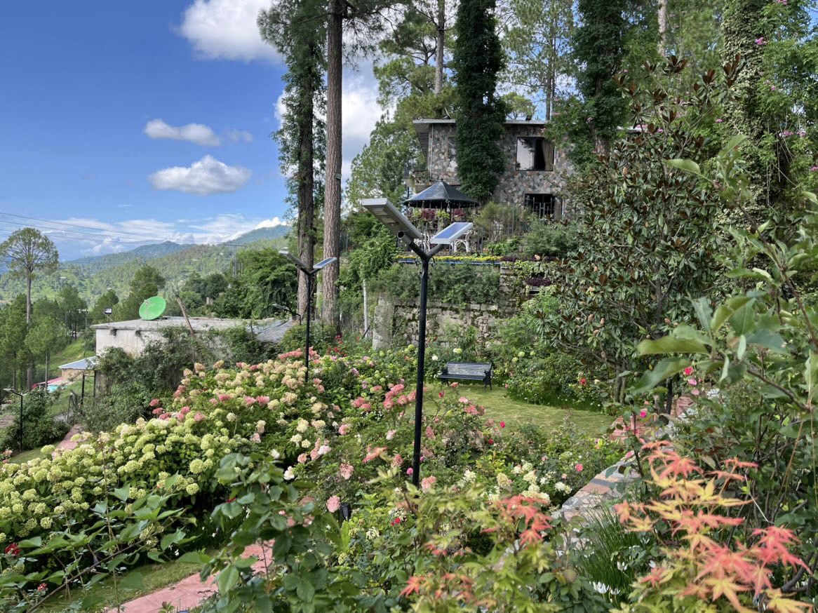The Cottage Terrace